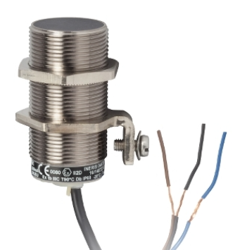 Cảm biến tiệm cận cảm ứng Schneider XS630B1PAL10EX