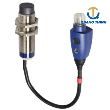Cảm biến tiệm cận cảm ứng Schneider XS630B2PBL01M12