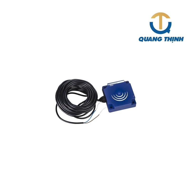 Cảm biến từ Schneider XS9D111A2L2