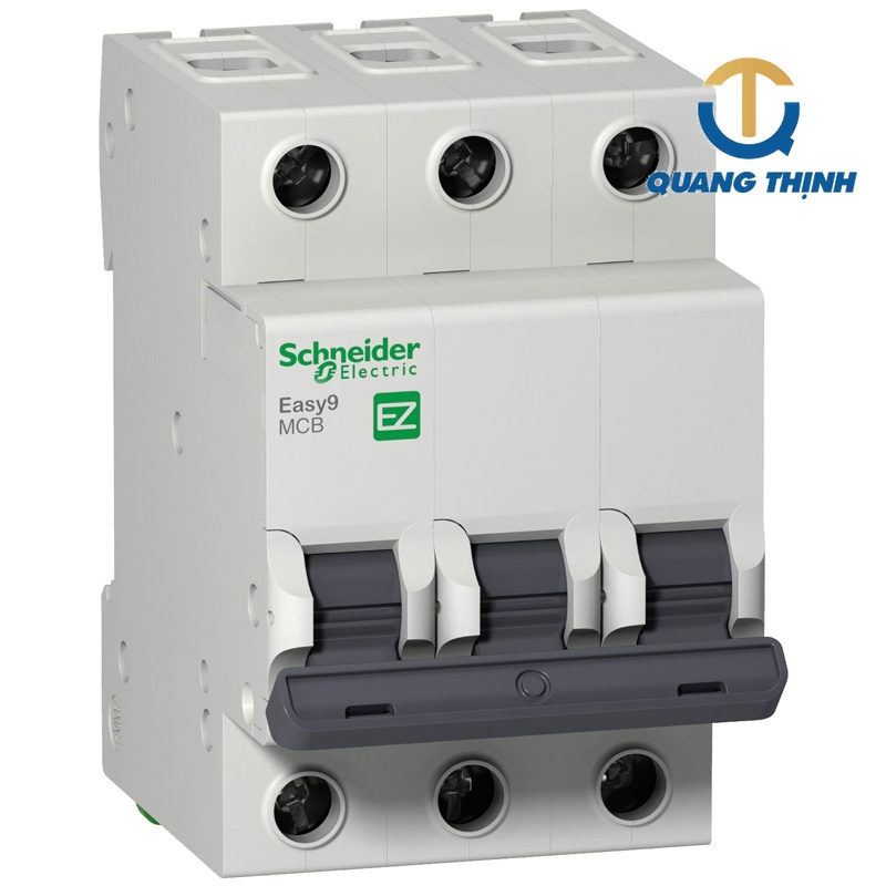 MCB Schneider EZ9F34332