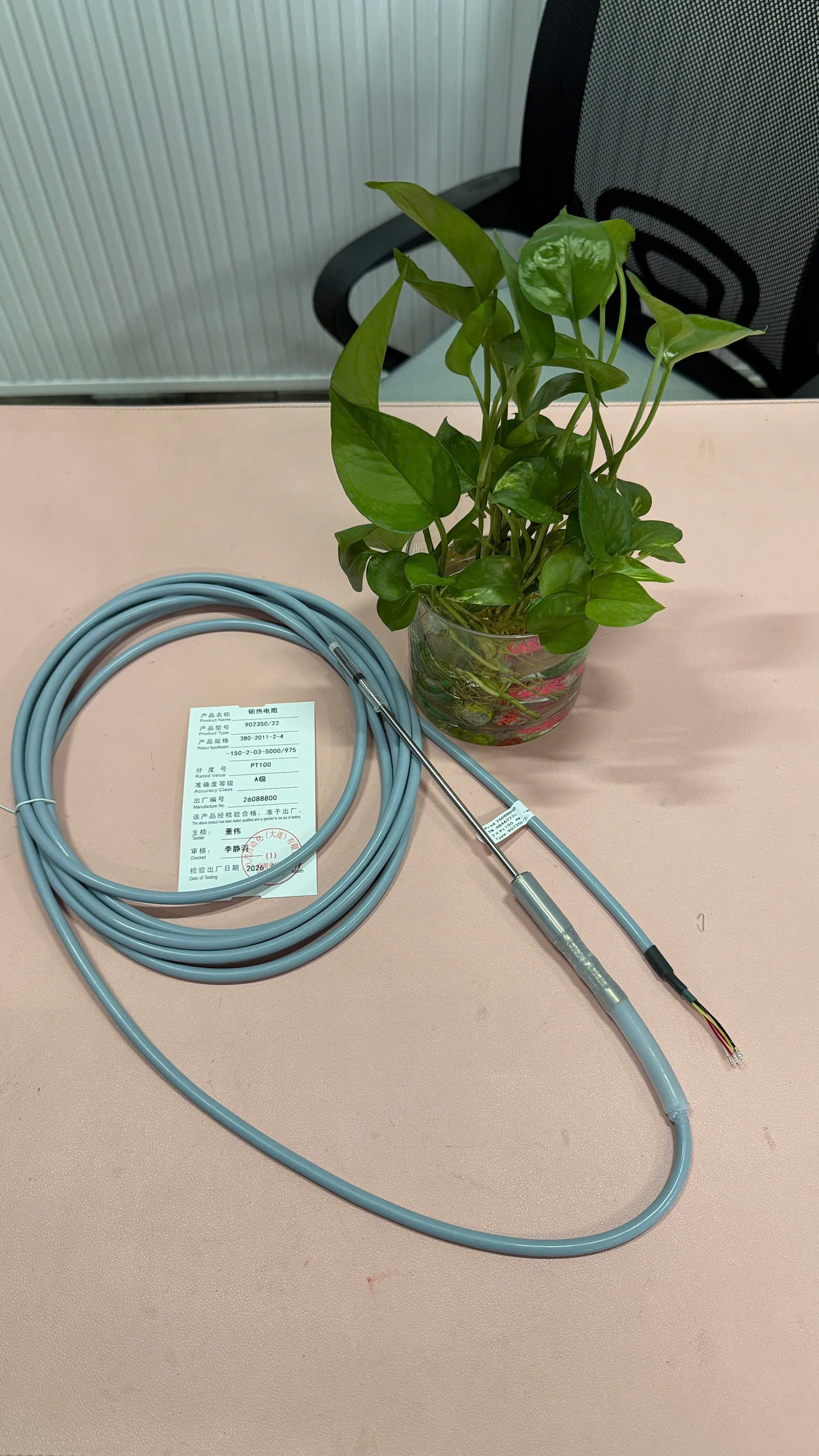 Đầu dò nhiệt độ RTD dạng cắm